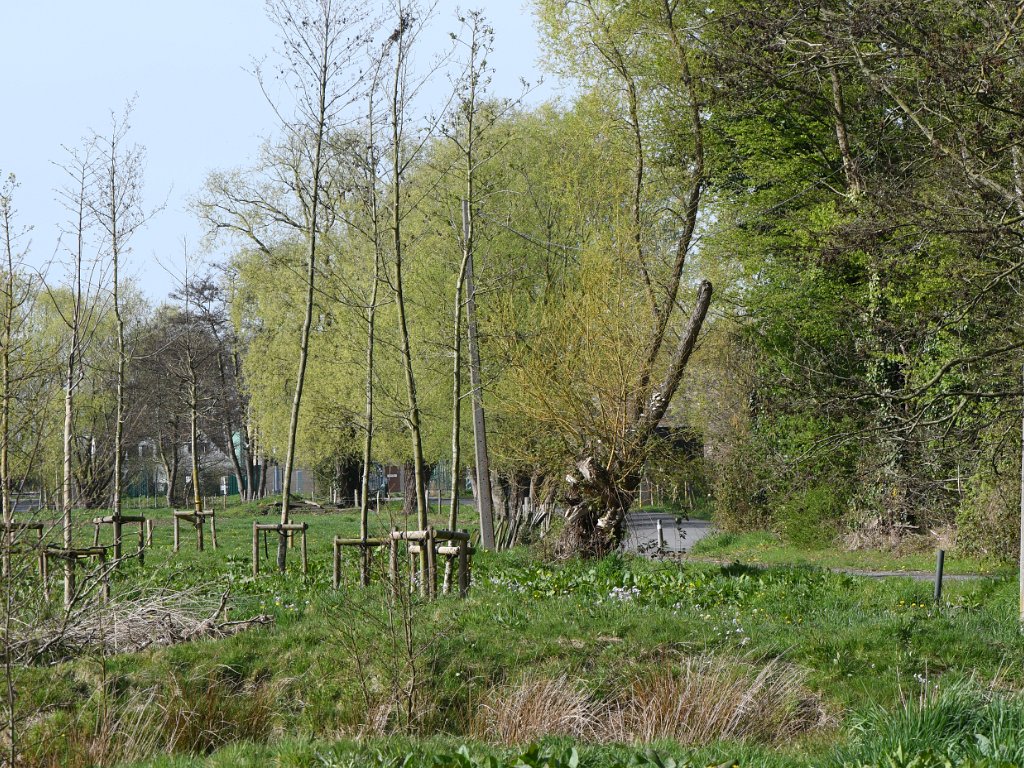 Mechelen - Betzenbroeck en Bos van Loos